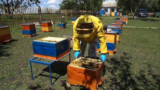 РАСШИРЕНИЕ В РУТОВСКОМ УЛЬЕ EXPANSION In RUTOVSKOM Houllier