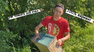 КАК ПОЙМАТЬ РОЙ ПЧЁЛ/100 % ВАРИАНТ ЛОВЛИ ПЧЁЛ/ПЧЕЛОВОДСТВО