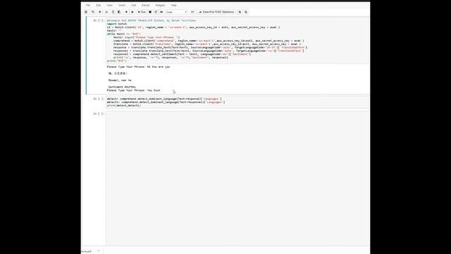 Brief Pythonic Example of AWS BOTO3 Translate смотреть онлайн