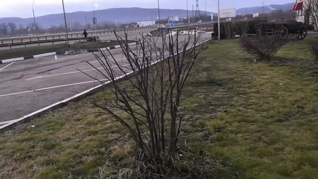 Формируем церцис по разному смотреть онлайн