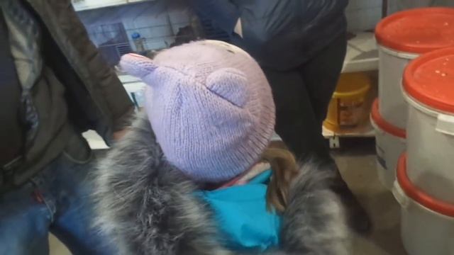 VLOG: Покупаем попугая. 12.02.17