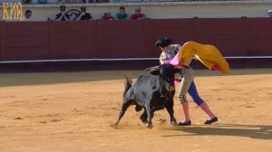 Как гоняют быка пикадоры на Испанской Корриде.