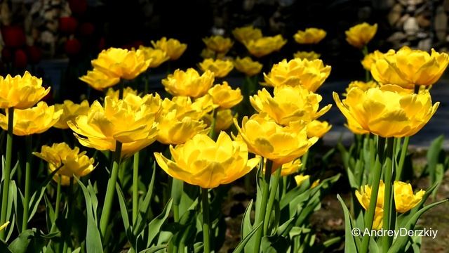 Как прекрасен этот мир смотреть онлайн