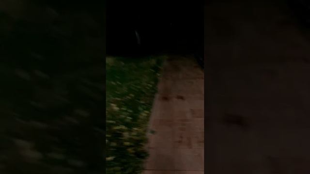 Парк победы в Махачкале смотреть онлайн