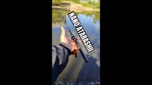 #DAYO NANO ATARASHII СПИННИНГ ТОП ЗА СВОЮ ЦЕНУ? ПОСМОТРИМ