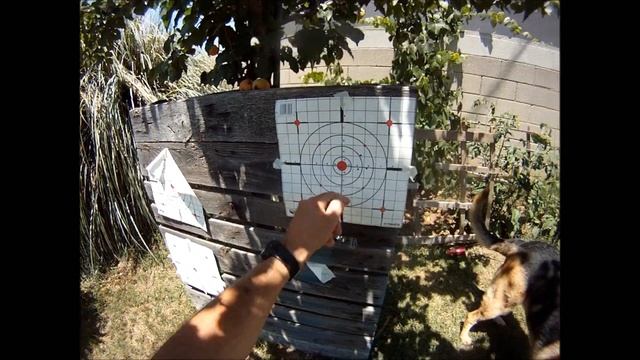 GAMO 1400fps Varmint Hunter HP смотреть онлайн