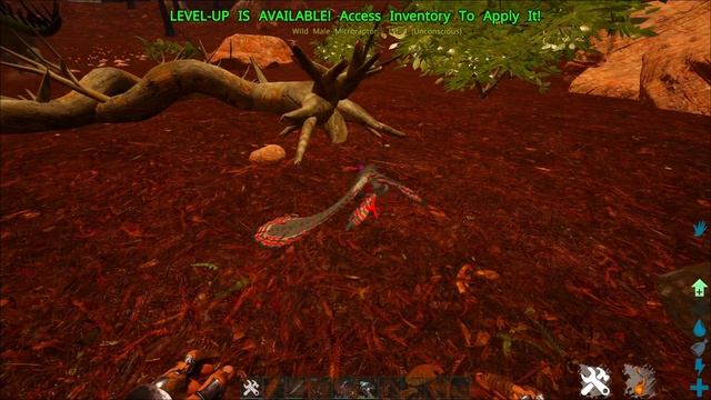 Microraptor Masterclass | Tame Groups, Tame Classes, Microraptor Mechanics & Taming |