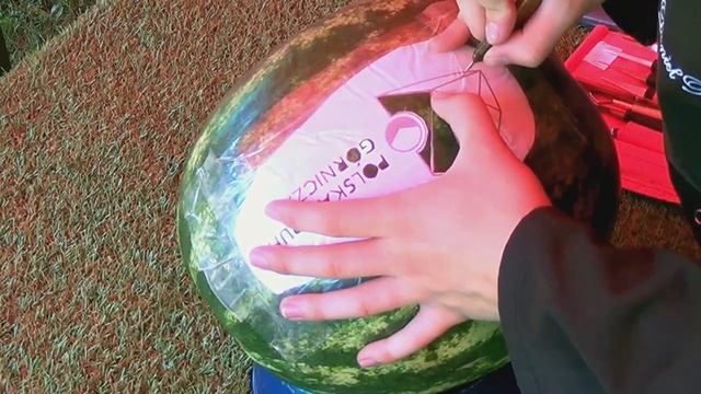 #226 How To Prepare Logo & Letters For Watermelon Carving  Jak Przygotować Logo I Litery Do Carving