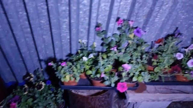 Гроза 7 июня 2023 года. Мегион. смотреть онлайн