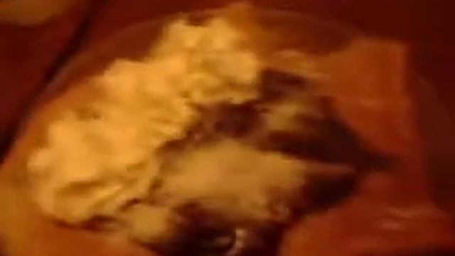 crepes!!!!!!!!!! смотреть онлайн