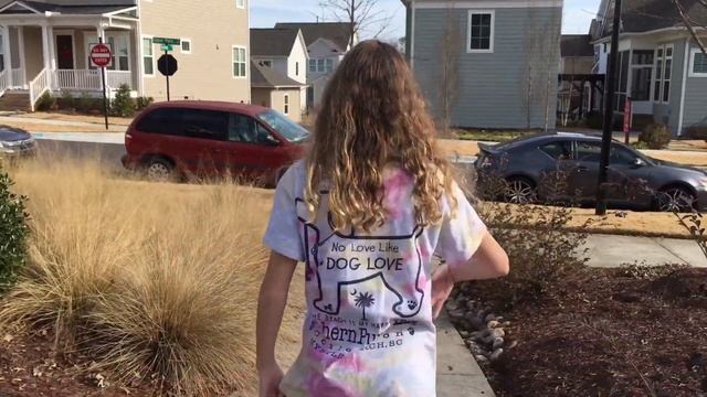 HOVER-1, Hoverboard From Walmart Review