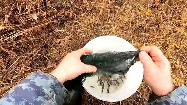 ПРОДОЛЬНИКИ НА НАЛИМА \ ОСЕННЯЯ ЗАГОТОВКА ЖИВЦОВ смотреть онлайн