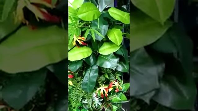 Фитостена из искусственных растений. Квин Гарден. Часть вторая смотреть онлайн