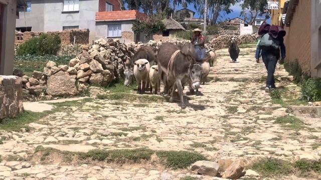 Bolivia - Copacabana and Isla Del Sol смотреть онлайн