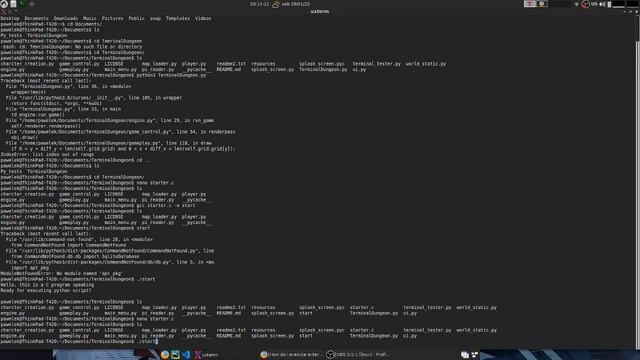Learnig C and how to execute python scripts from C смотреть онлайн