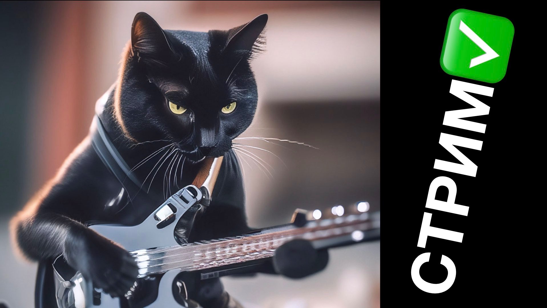 ?ЦОЙ, ХОЙ, КИШ, ГРОБ, ЧАЙФ, СПЛИН, КРУГ, БГ, БИ2, ДДТ,ЧИЖ, НА ГИТАРЕ И УКУЛЕЛЕ 08.10.23 смотреть онлайн