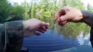 Ловля ерша летом на мормышку))) - Клип