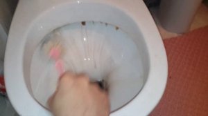 МОЖНО ЛИ ПОЧИСТИТЬ УНИТАЗ ПЕПСИ-КОЛОЙ?