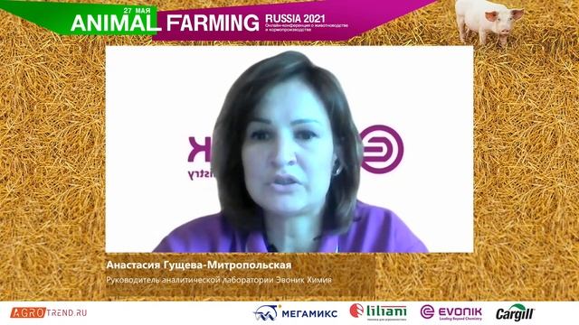 Цифровизация в помощь производителям смотреть онлайн