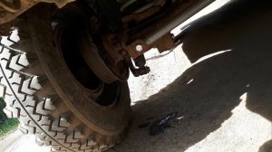 ОТПАЛА ПОЛУОСЬ НА НИВЕ!  ЧТО ДЕЛАТЬ????