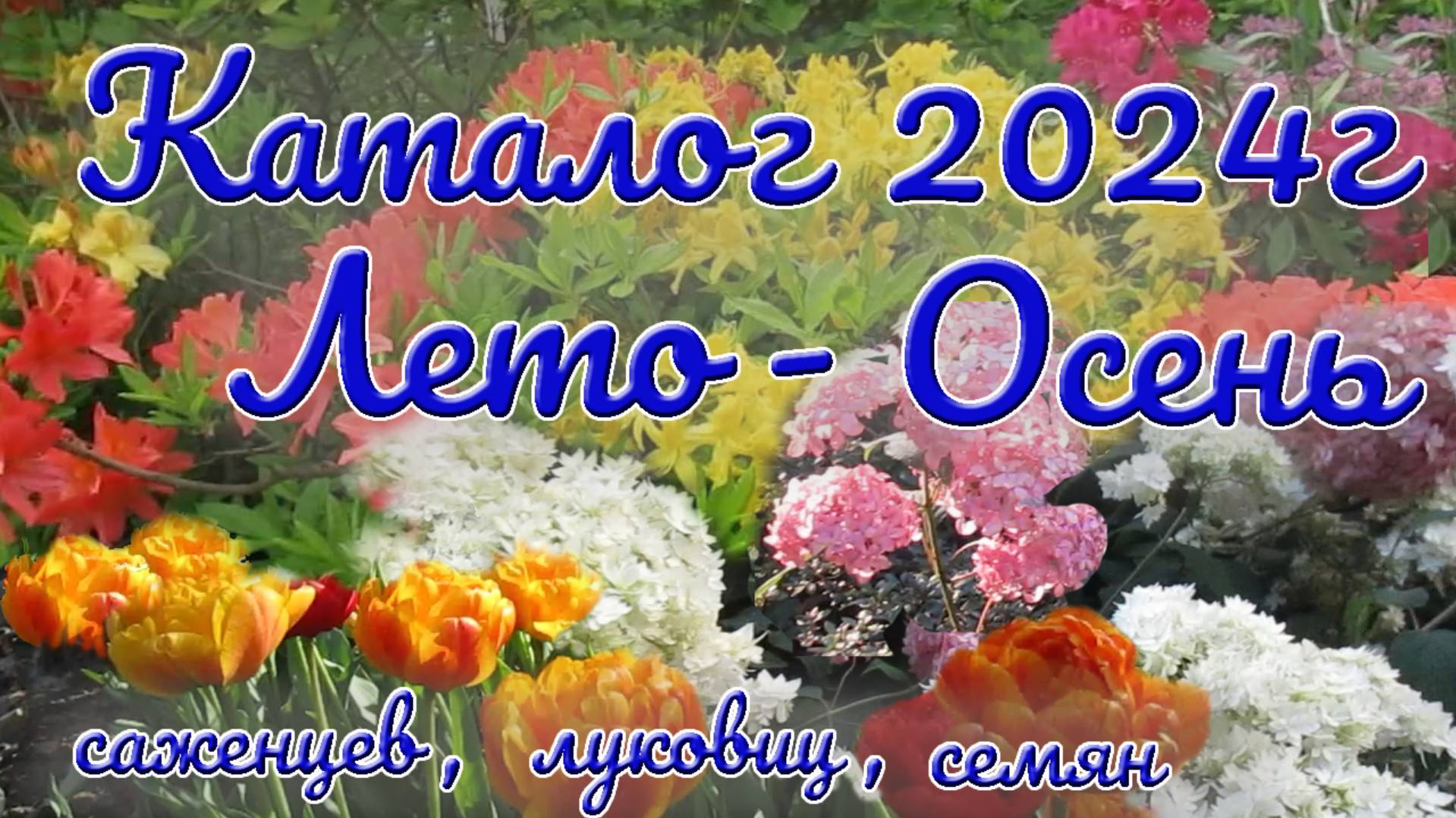Каталог 2024г. Лето - Осень. Саженцы, луковицы, семена. смотреть онлайн