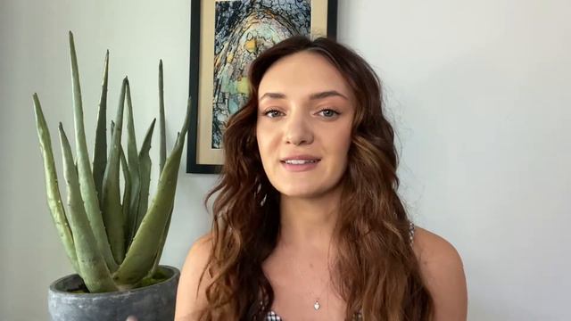 What Is Transitional Interior Design? | Episode 3 Design Style Series