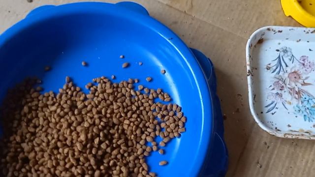 Отчет за 12.02.2024 смотреть онлайн