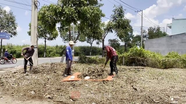 Cut The Luxuriant GRASS And CLEAN The Vacant Land To Create A Cool Escape For The People