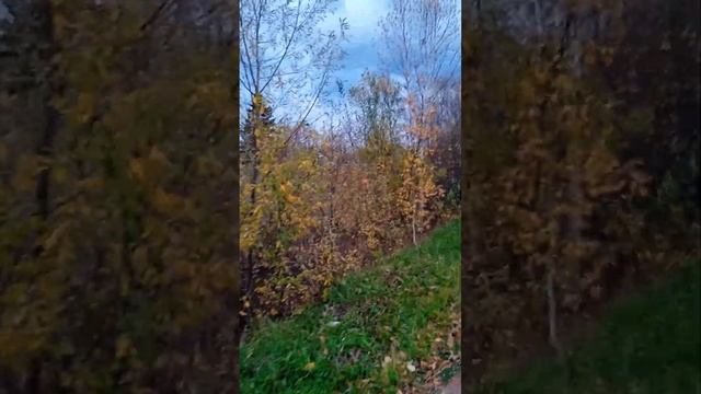 Как определиться со своим предназначением? смотреть онлайн