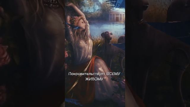 Греческая мифология #артемида #богигреции #богиня #озвучка #греческаямифология #боги #древняягреция смотреть онлайн