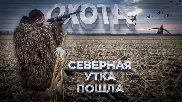 охота на утку.СЕВЕРНАЯ УТКА ПРИШЛА!