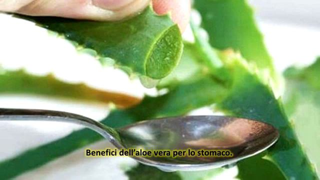 Benefici dell’aloe vera per lo stomaco смотреть онлайн