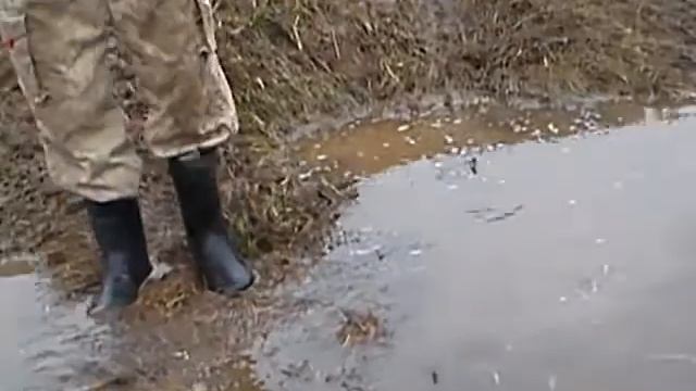 квадрики весна2013 смотреть онлайн