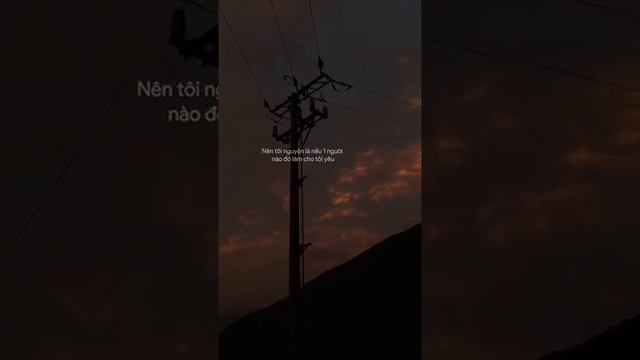 Buddy the #sable is crazy carpet shark #соболь ковровая акула смотреть онлайн