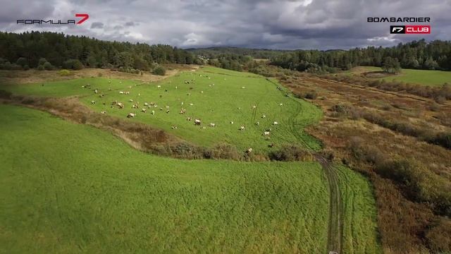 Карелия. Квадротур с Bombardier F7 Club. август 2020г. смотреть онлайн