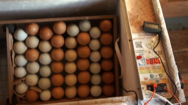 Магическое возрождение величия