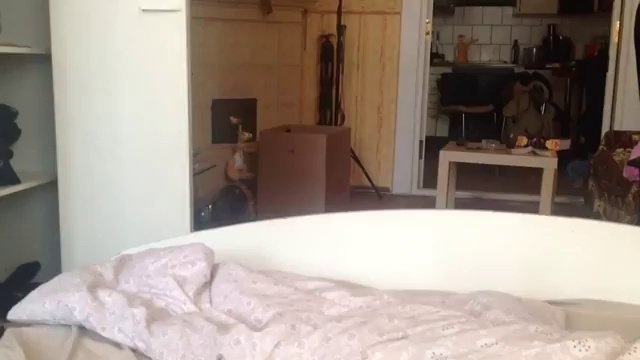 Барсик, апорт! смотреть онлайн