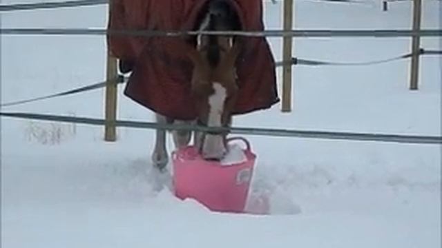 Remi Snow Vid.wmv смотреть онлайн