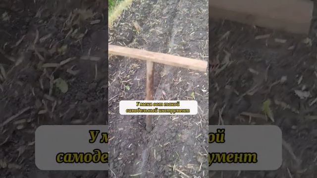 Легко сажай рассаду даже в грязь смотреть онлайн