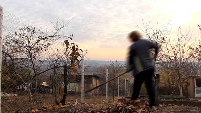 Решила Установить Калитку