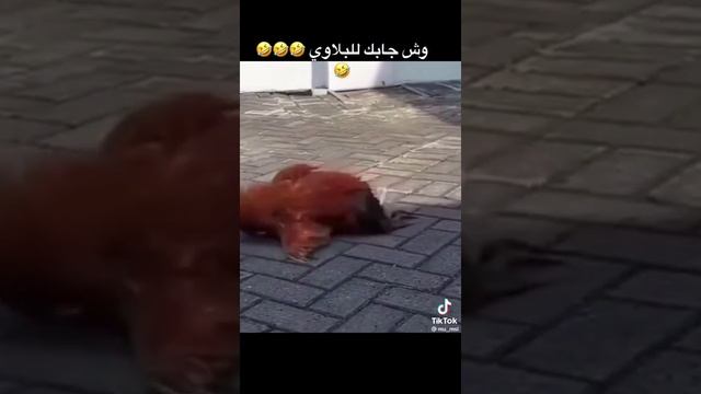 Пьяный акробат ? смотреть онлайн