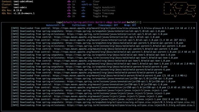Demo: Cloud Native Runtimes for VMware Tanzu Source to Workload смотреть онлайн