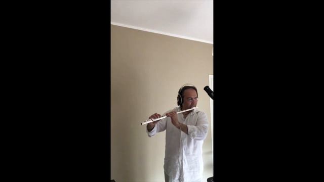 Il volo del calabrone смотреть онлайн