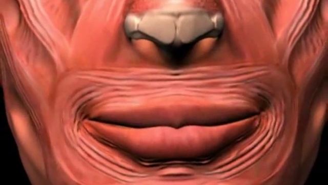 Морщины области губ смотреть онлайн