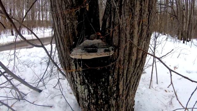 Лёгкий поход с детьми. смотреть онлайн