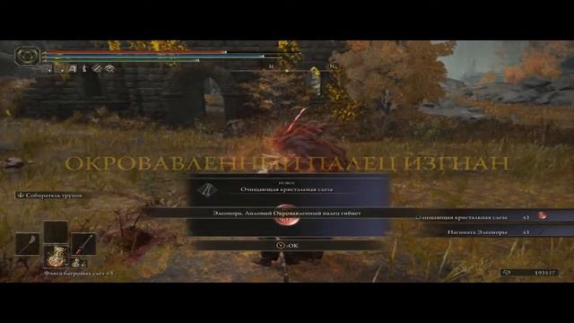 Elden ring - Где выбить? Двойную катану Нагината Элеоноры
