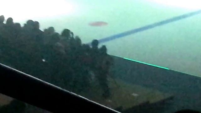 Дети зажигают. Ледовое шоу.Минск. смотреть онлайн