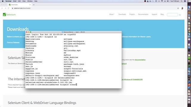 Selenium Grid part 1 смотреть онлайн
