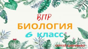 ВПР биология 6 класс 2021 вариант 1.mp4