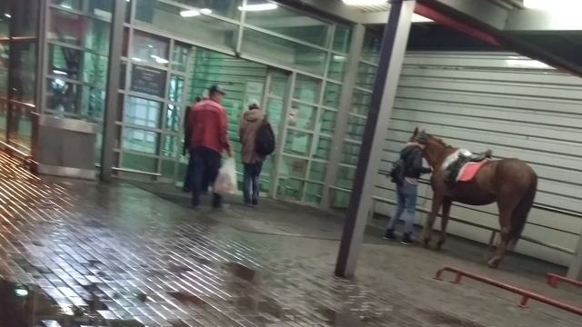 Фото подписчиков Фактории (часть 12) смотреть онлайн